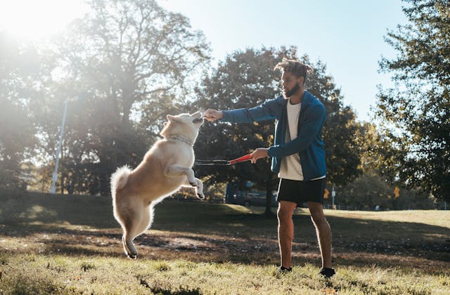 Dog Walking